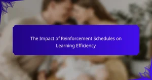 The Impact of Reinforcement Schedules on Learning Efficiency