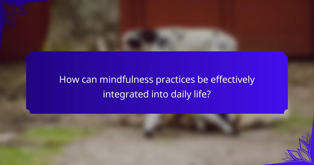 How can mindfulness practices be effectively integrated into daily life?