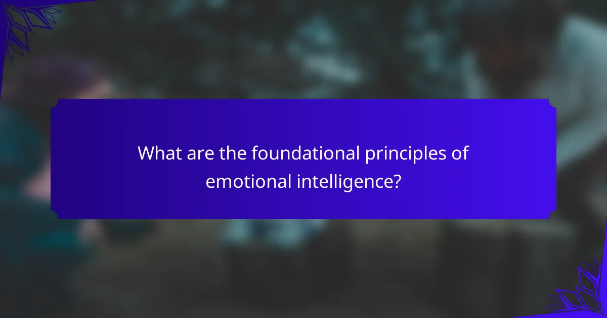 What are the foundational principles of emotional intelligence?