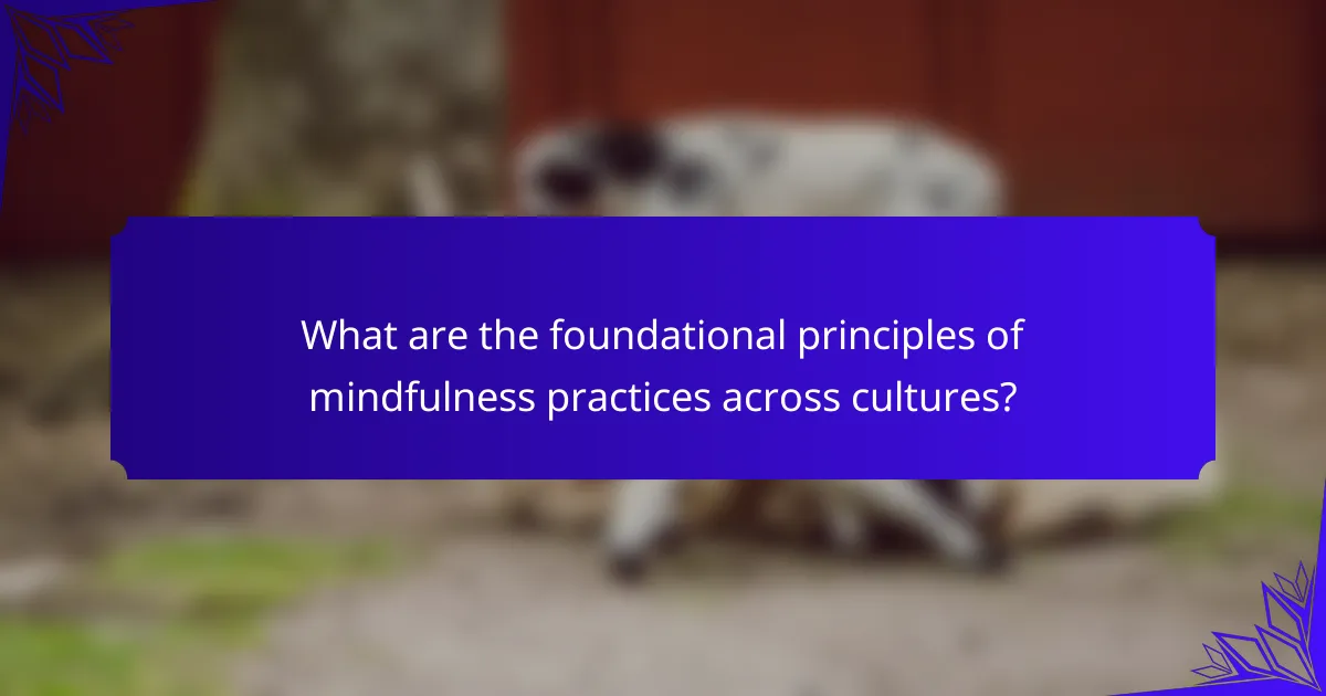 What are the foundational principles of mindfulness practices across cultures?