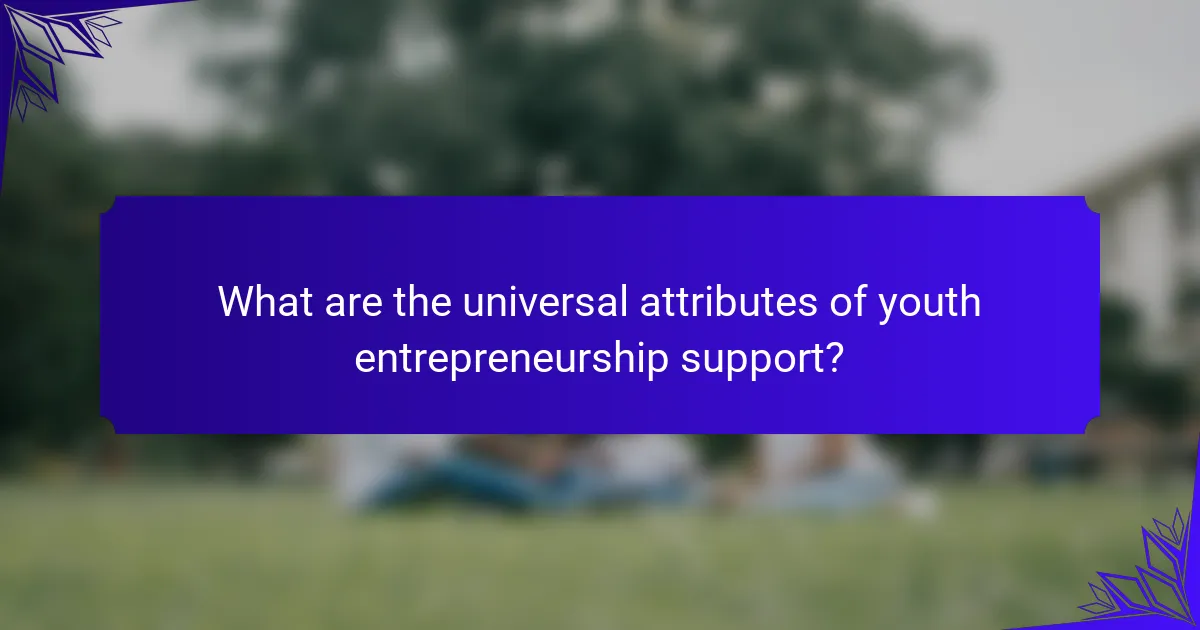 What are the universal attributes of youth entrepreneurship support?