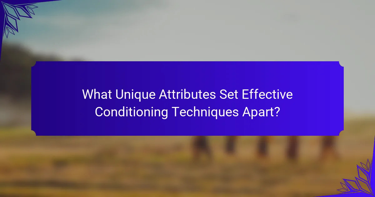 What Unique Attributes Set Effective Conditioning Techniques Apart?